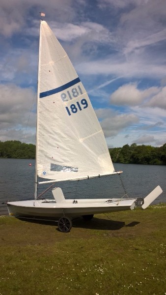 Streaker 1819 for Sale 1819